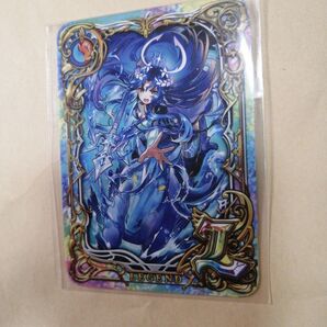 新品未開封 魔法使いと黒猫のウィズ ハンズ ノベルティ カード