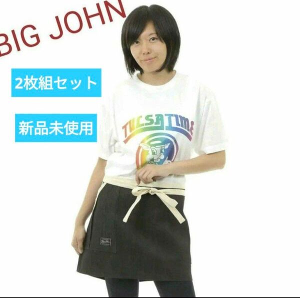 2枚組 BIG JOHN ビッグジョン 921 サロン ワーク キッチン エプロン