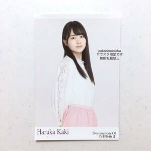 ★公式グッズ 乃木坂46 賀喜遥香 ドキュメンタリー いつのまにか、ここにいる ポストカード 1枚 生写真風 夜明けまで強がらなくてもいい