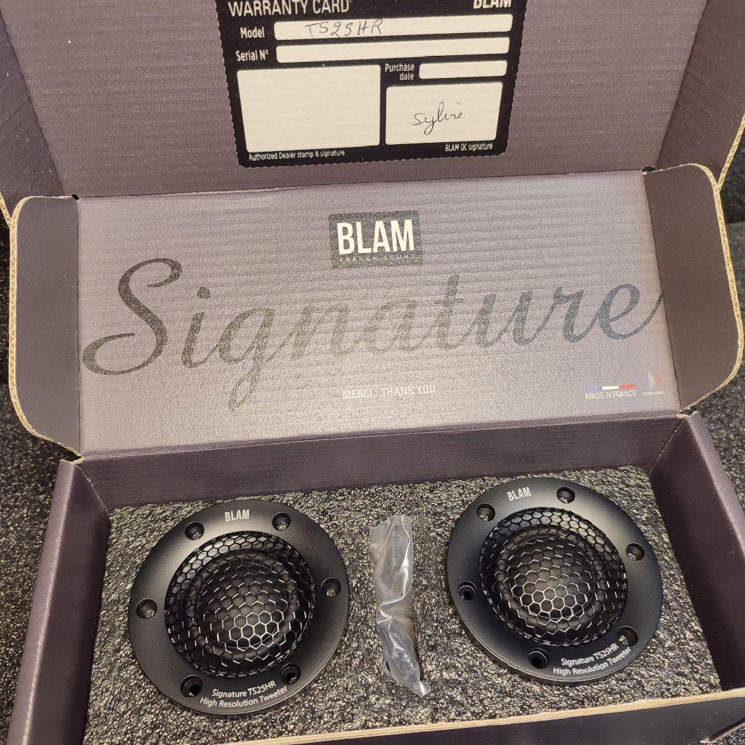 美品 出音確認済 BLAM シグネチャーシリーズ TS25HR ツィーター 美品 出音確認済 BLAM シグネチャーシリーズ TS25HR ツィーター