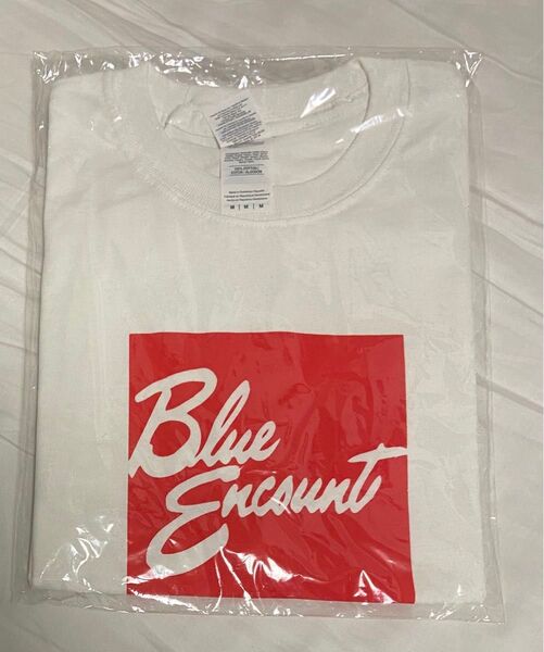 BLUE ENCOUNT ブルーエンカウント Tシャツ Mサイズ
