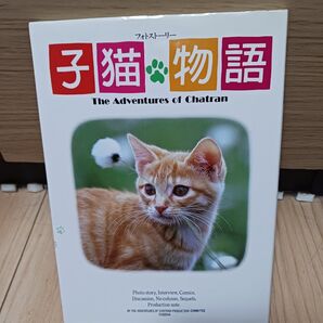 子猫物語フォトストーリー
