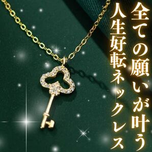 全ての願いが叶う人生好転ネックレス 座敷わらし 開運 幸運 金運 恋愛運 仕事運 宝くじ当選 高額当選 くじ運 護符 占い 御守り