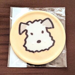 アランジアロンゾ てつ コースター