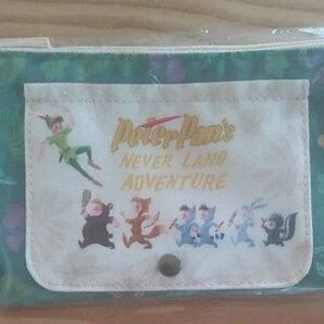 東京ディズニーシーファンタジースプリングスピーターパン