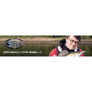 ペイル偏光レンズ 度なし 加工料金込み