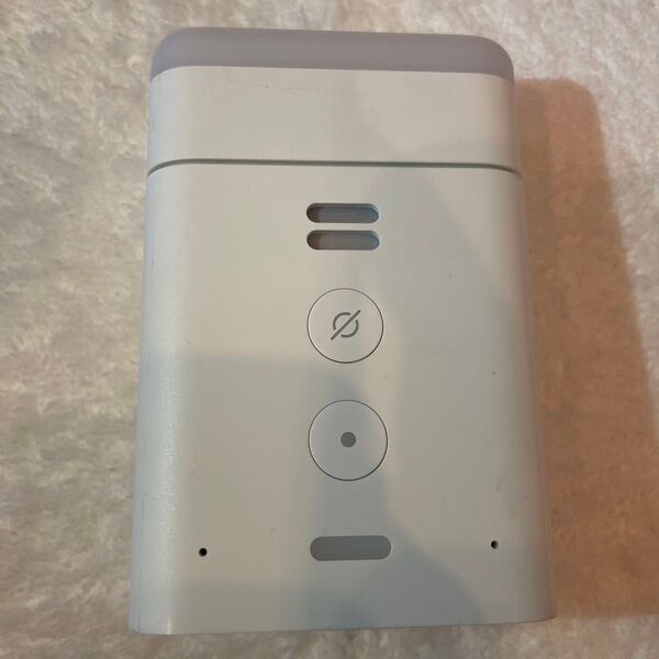 エコーフレックス スマートスピーカー スマートライト付き