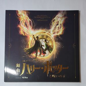 舞台ハリーポッターと呪いの子 パンフレット 藤原竜也 向井理 石丸幹二