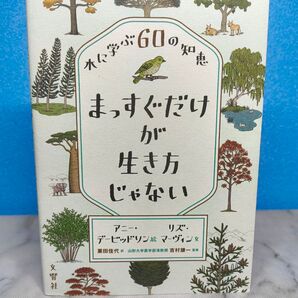まっすぐだけが生き方じゃない