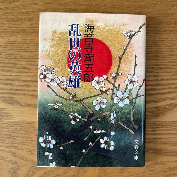 乱世の英雄 (文春文庫) 海音寺潮五郎/著