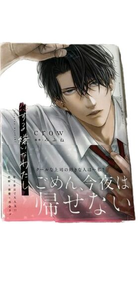 恋する嫌いなわたし TLコミック crow