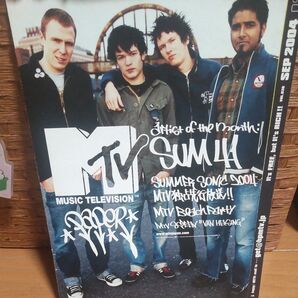 sum41 チラシ