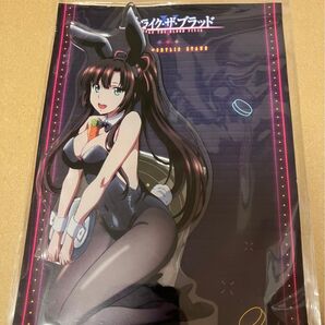 ストライク ザ ブラッド Ⅴ FINAL 描き下ろし BIG アクリルスタンドフィギュア バニーガール 煌坂紗矢華