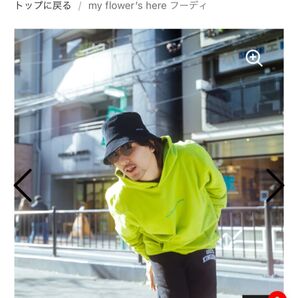 my flower's here 7—71 - Fresh Green藤井風 LIVE