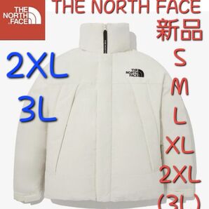 THE NORTH FACE ノースフェイス 新品 ダウンジャケット 軽量 中綿 2XL 3L