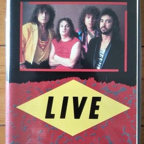 Y&T Live In The San Francisco Civic【日本版VHS】