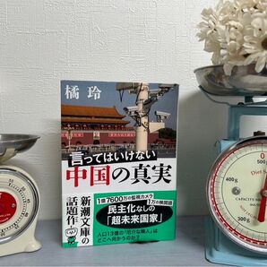 中国の真実 橘 玲 言ってはいけない 中国の真実 昭和レトロ