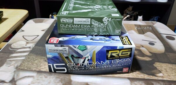 RG 1/144 ガンダムエクシア ガンダムエクシア用リペアパーツセット 機動戦士ガンダムOO ガンプラ