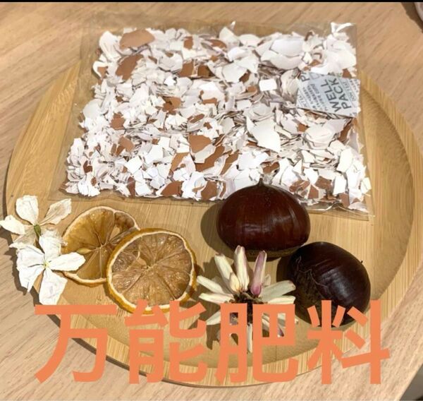卵の殻