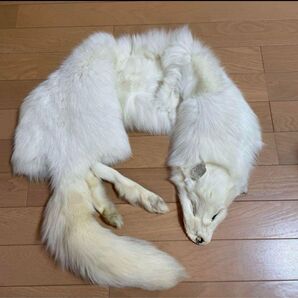 フォックスファー 原皮