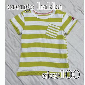 オレンジハッカ ボーダー Tシャツ 黄色 女の子 男の子 サイズ90.100
