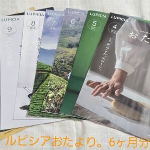 ルピシア おたより パンフレット6ヶ月分