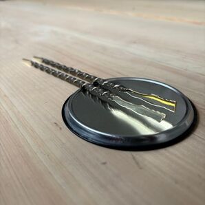 【高評価なので再セール品】ソイルスティック2本売り オテロイ(長さ約20cm)