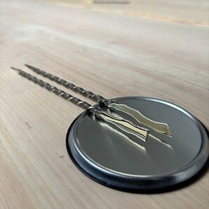 【高評価なので再セール品】ソイルスティック2本売り ハデス(長さ約20cm)