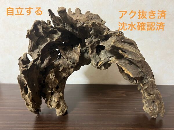 XM-321 流木マシンガンウッド ブランチウッド アクアリウム 沈水確認済