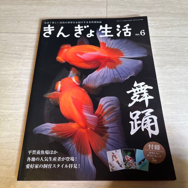 金魚生活 no.6 アクアライフ 特典付き