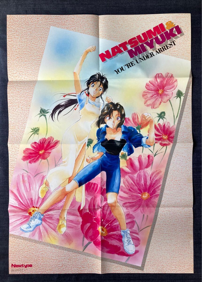 中嶋敦子原画 逮捕しちゃうぞ 辻本夏実 水着 B2サイズポスター(元箱あり) 2025年最新】Yahoo!オークション -逮捕しちゃうぞ ポスターの