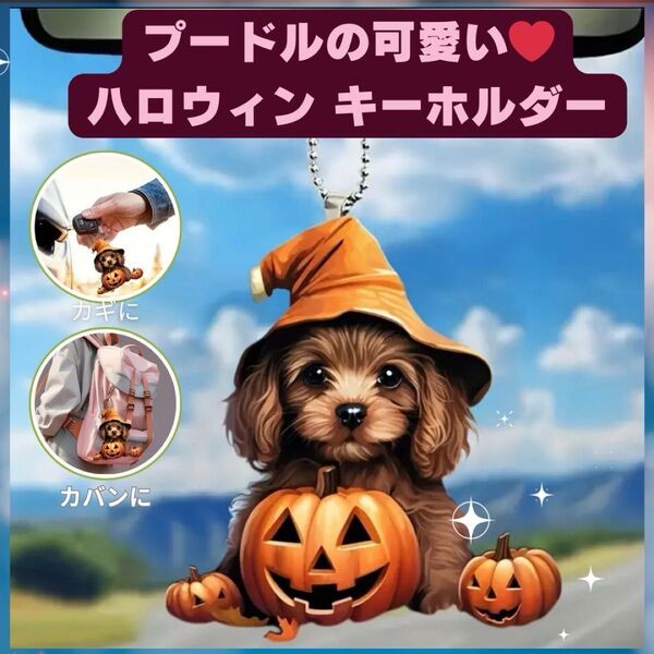 あと7点! プードル かぼちゃ ハロウィン キーホルダー オーナメント 車 2D アクリル 犬