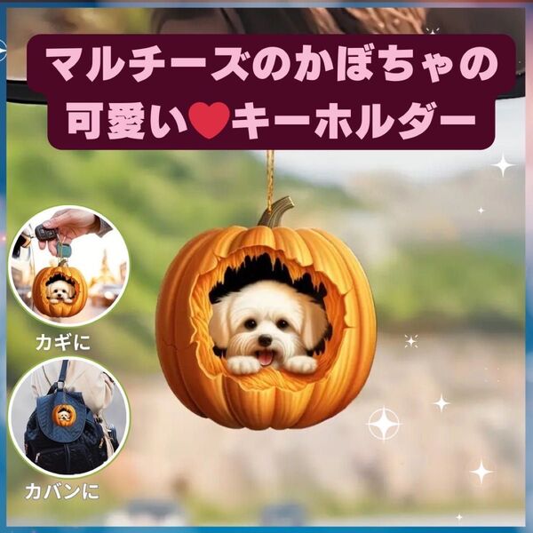 在庫SALE!残り4点!マルチーズ ポケット キーホルダー オーナメント かぼちゃ 車 2D アクリル 犬