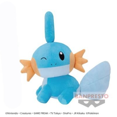 2025年最新】Yahoo!オークション -ポケモン ミズゴロウ 2025年最新】Yahoo!オークション -ポケモン ミズゴロウ