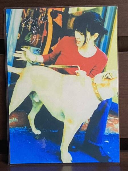 ZARD 坂井泉水 ラミネート ハンドメイド A4サイズ