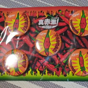 CARP真赤激バッチセット