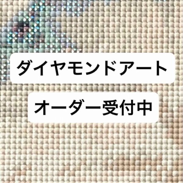 【オーダー】ダイヤモンドアートキット 海外製 30×30 ABビーズ入り レジンビーズ