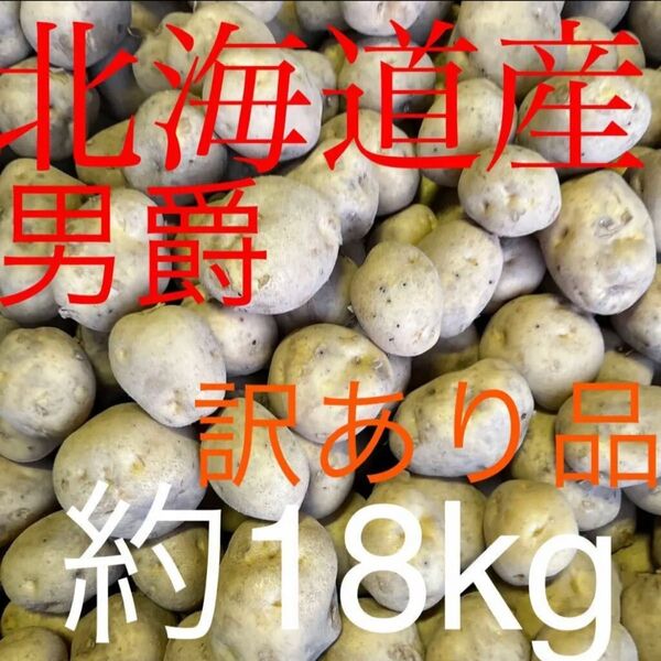 北海道産 じゃがいも 男爵 農家直送 訳あり品