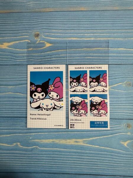 サンリオ 証明写真風スマロイド シークレット