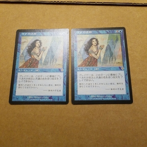 mtg　マナの迷路 2枚セット 日本語版