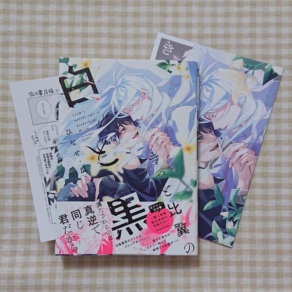 【BL】きっと比翼の白と黒/ひなせ・瓜