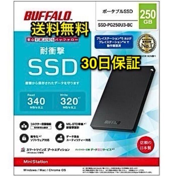 外付けポータブル SSDで高速化★250GB TypeA★Win/Mac/PS5/PS4★バッファローSSD-PG250U3-BC