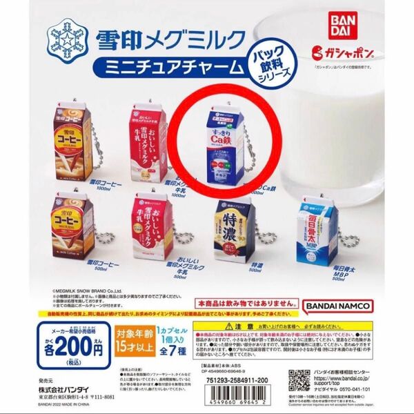 雪印メグミルク ミニチュアチャーム パック飲料シリーズ すっきりCa鉄1000ml ガチャガチャ カプセルトイ