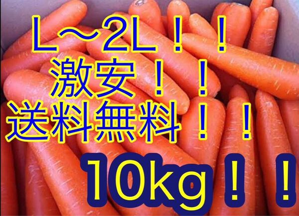 人参 L〜2L 激安 送料無料 10kg お買い得 人参 国産 無農薬 美味しいにんじん