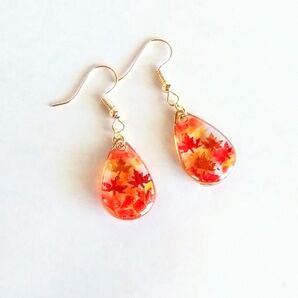 大きな雫のピアス(紅葉輝く)