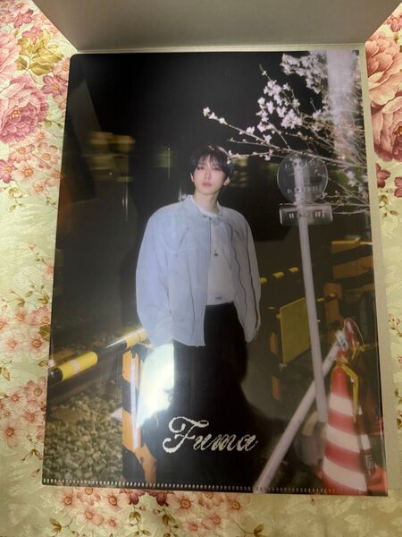 &team クリアファイル FUMA