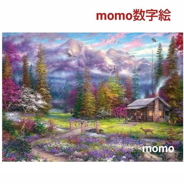 【89D9】数字絵 ペイントバイナンバー 油絵 大人の塗り絵
