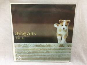 菅原進 EP レコード 『琥珀色の日々』 『琥珀色の日々 インストゥルメンタル』 送140