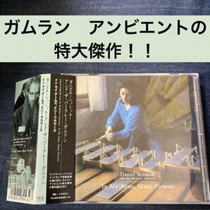 ダニエルシュミット Daniel Schmidt ガムランミニマルアンビエント テリーライリー スティーブライヒ
