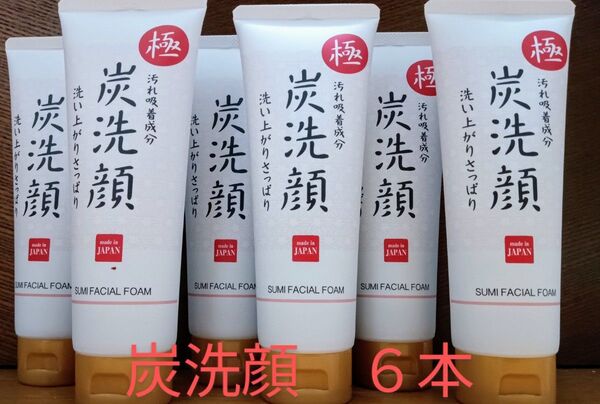極 炭洗顔 150g 6本セット汚れ吸着成分 洗い上がりさっぱり 日本製